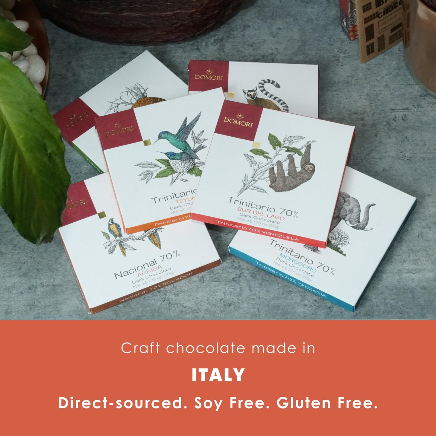 Domori Trinitario Bundle | Vegan, Soy Free, Gluten Free | 1.8oz Bars, 6-Pack