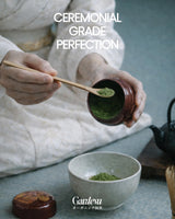 Gardeva Organic Japanese Ceremonial Grade Matcha - 100% Pure Green Tea Powder, USDA Certified, First Harvest, Authentic Origin From Uji, Kyoto (40g