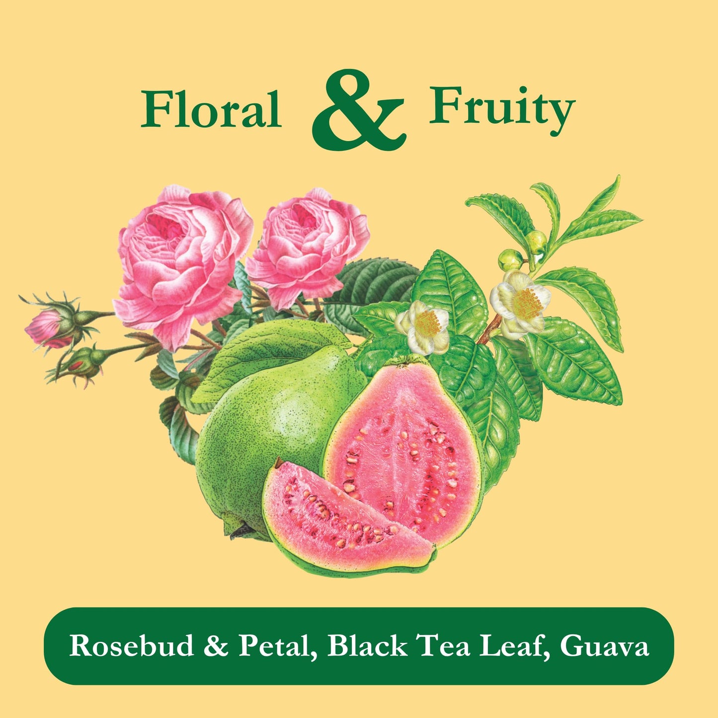 Tadin Guava Rose Tea, Contains Caffeine, 24 Tea Bags Per Box, Pack of 1