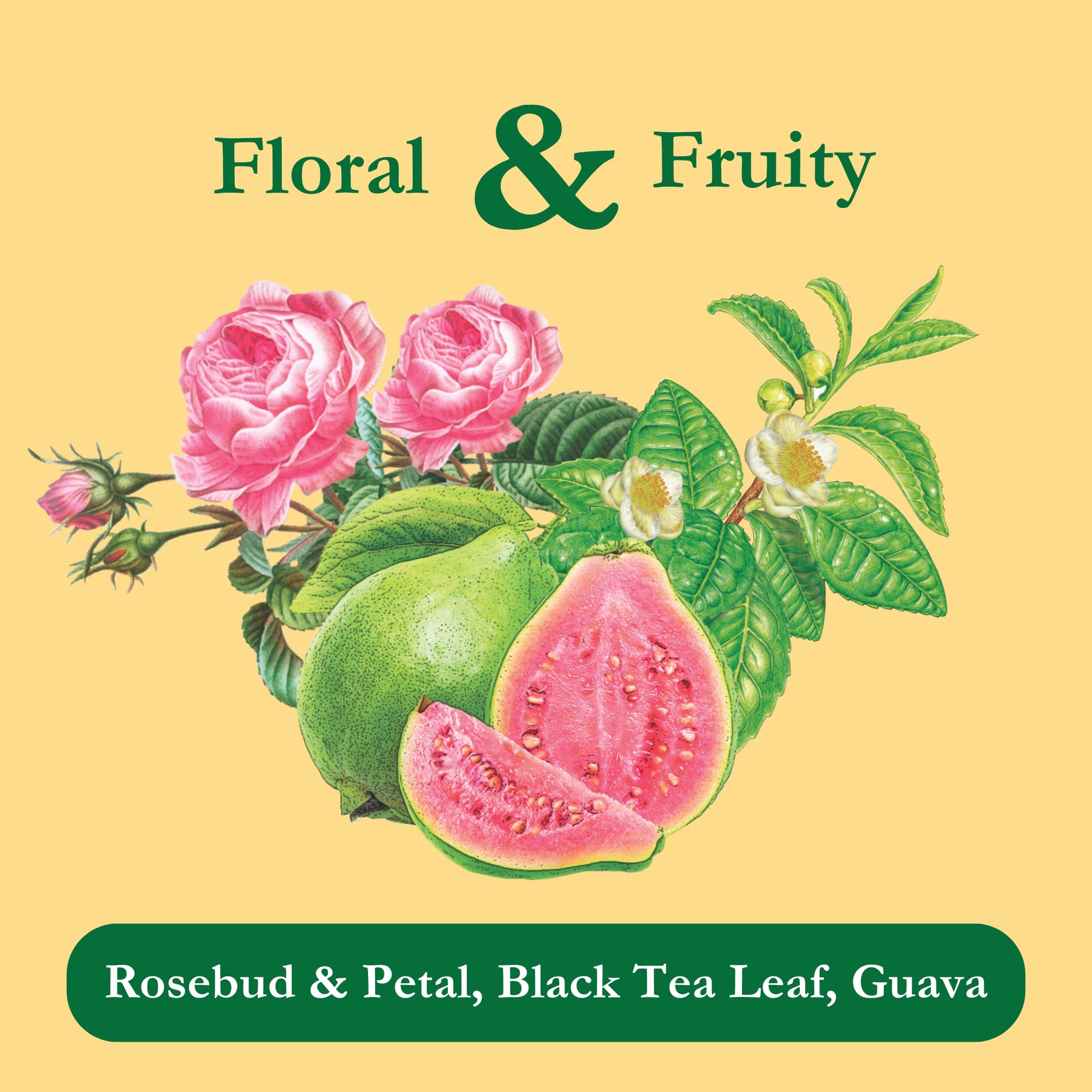 Tadin Guava Rose Tea, Contains Caffeine, 24 Tea Bags Per Box, Pack of 1