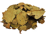 Avocado Tea Leaves Herbal Infusion Hojas de Aguacate Te Value Pack (75g) 100% Natural Caffeine Free