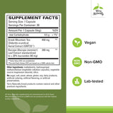 Terry Naturally GMT23 Greek Mountain Tea Plus Bacopa - Dietary Supplement for Focus Support - Brain Health Supplement for Attention to Detail - Herbal