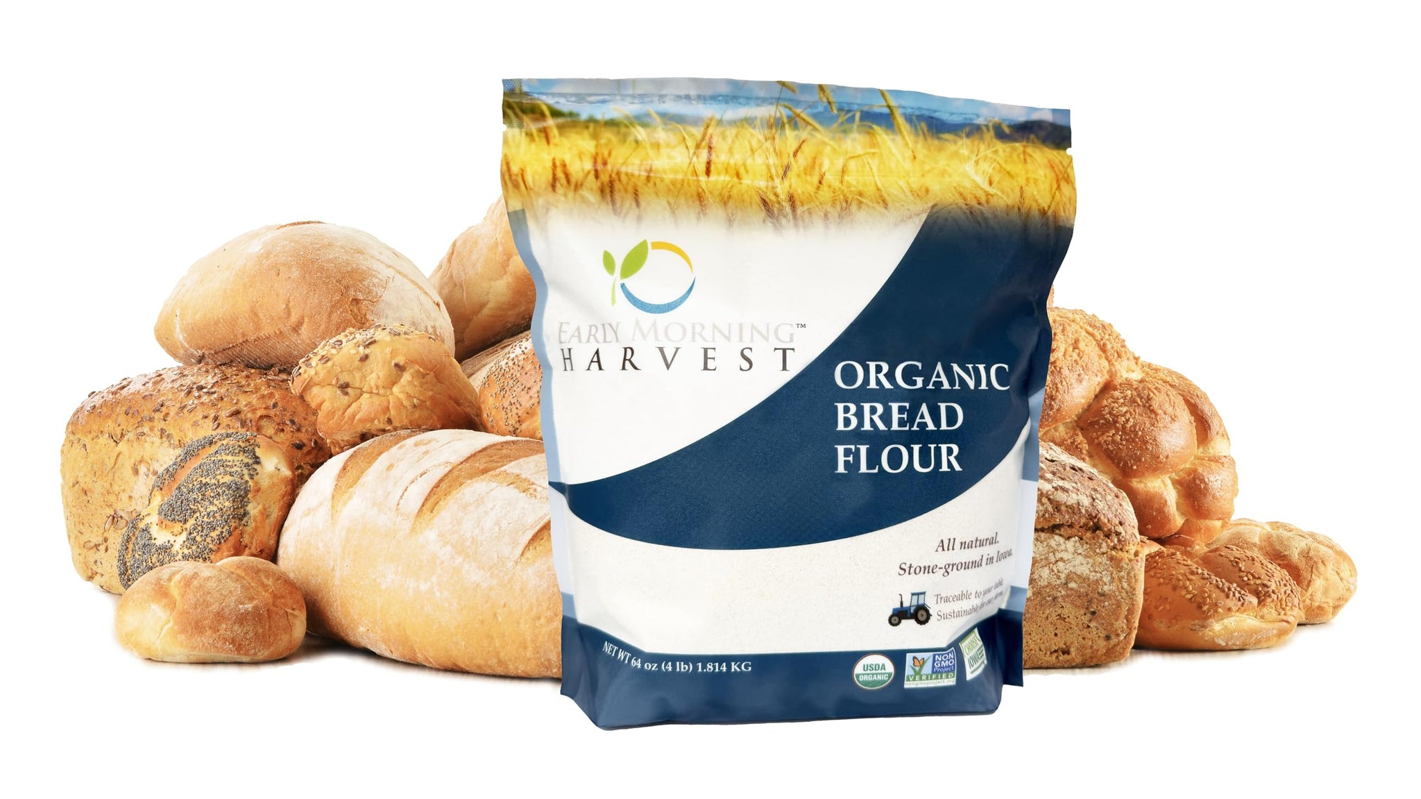 Early Morning Harvest Organic Bread Flour - Made from Non-GMO Whole Wheat - Stone Ground Flour for Baking and Cooking, Whole Grain, Certified Organic