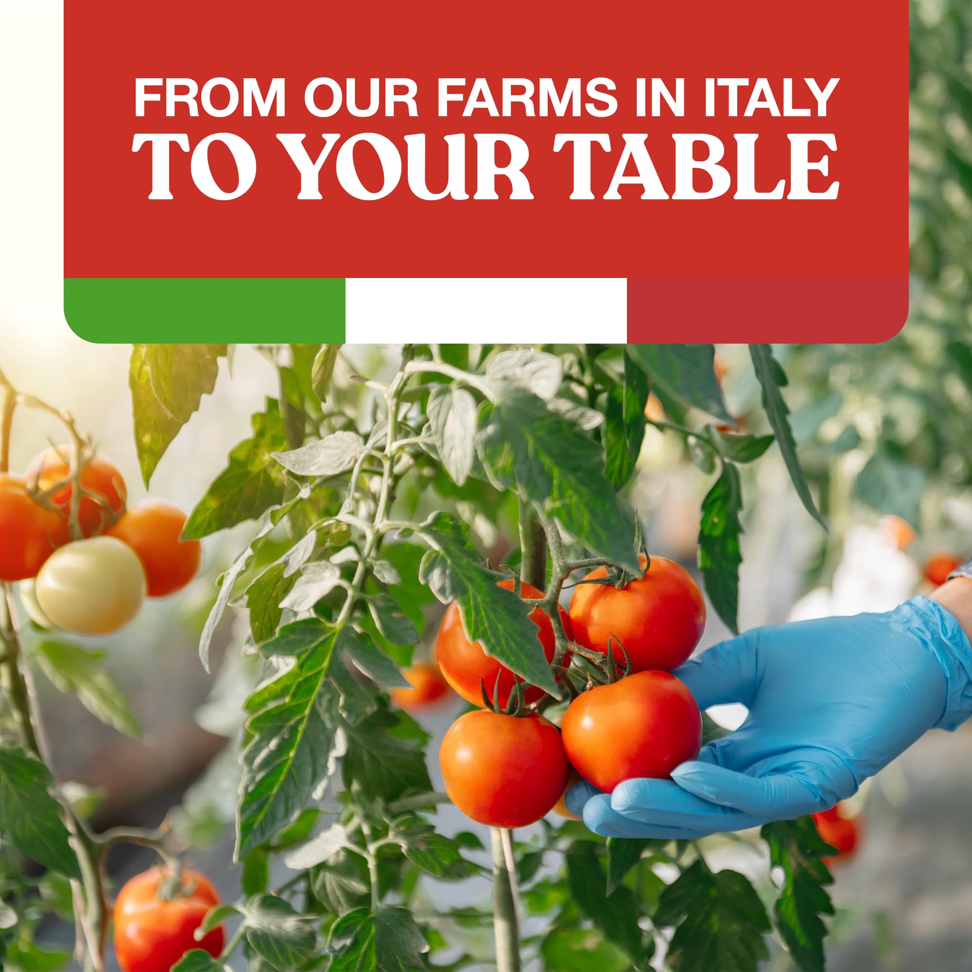 Pomì Pizza Sauce 14.1oz (Pack of 12) - 100% Fresh Italian Tomatoes, Made in Italy, Non-GMO, Gluten-Free, No Additives/Preservatives, Velvety & Creamy