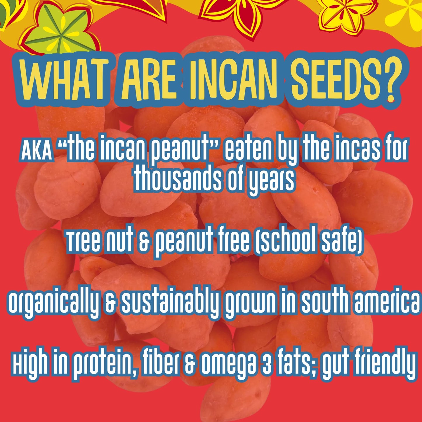 Brass Roots Organic Incan Protein Seeds - High Protein, School Safe, Nut Free, High Omega 3, Supports Gut Health, Good Source of Fiber, Shark Tank (10