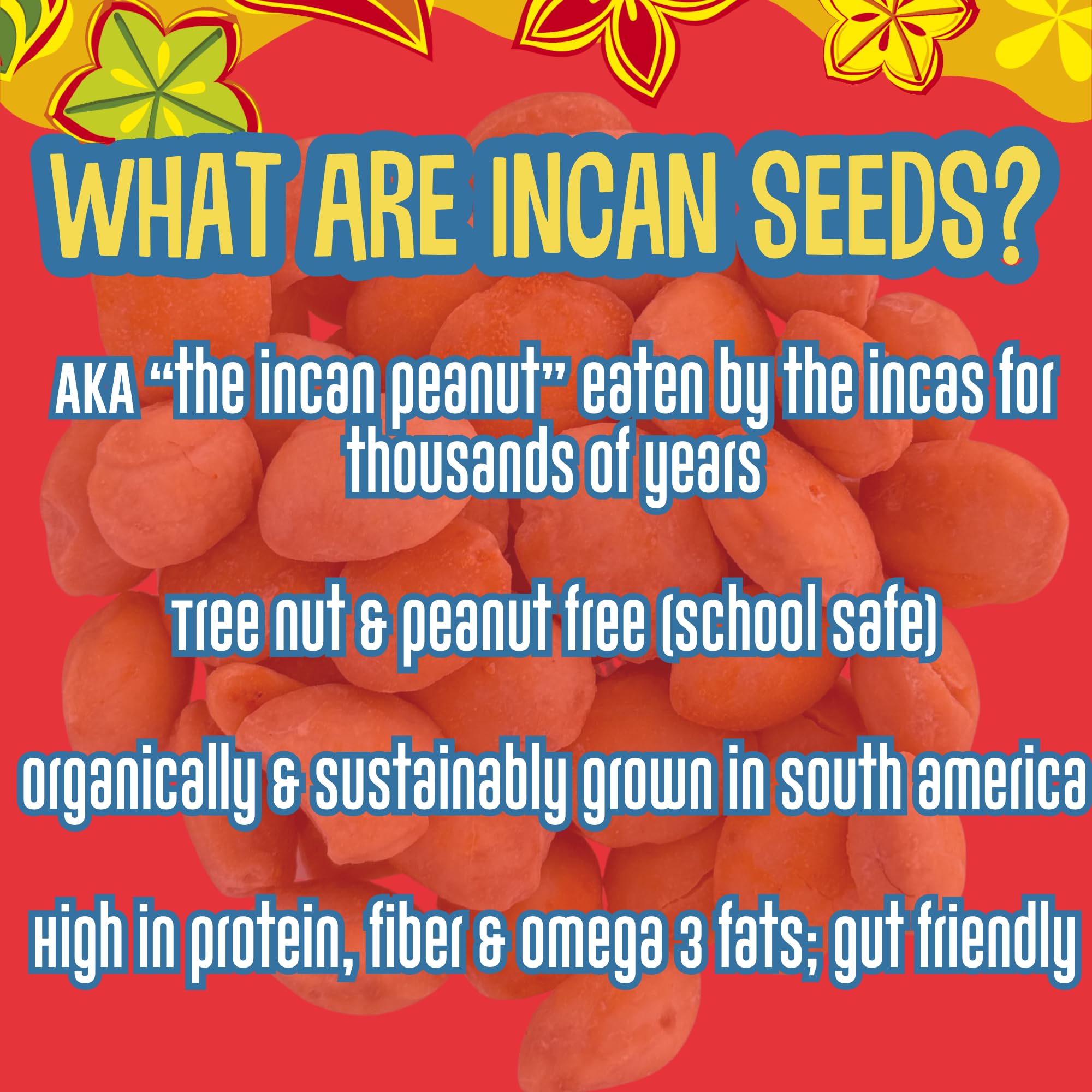 Brass Roots Organic Incan Protein Seeds - High Protein, School Safe, Nut Free, High Omega 3, Supports Gut Health, Good Source of Fiber, Shark Tank (10
