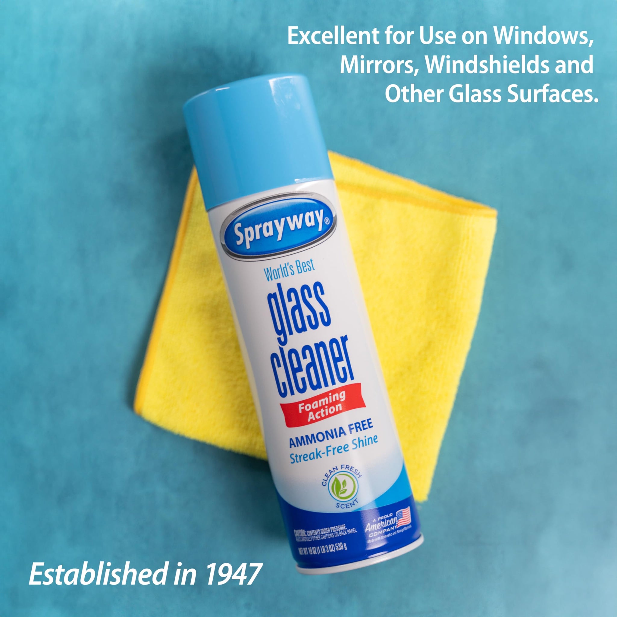 Sprayway Glass Cleaner Foaming Aerosol Spray, 19oz, Pack of 2 | Ammonia-Free, Streakless, Fast-Acting | Cleans & Polishes Glass Surfaces | Fresh