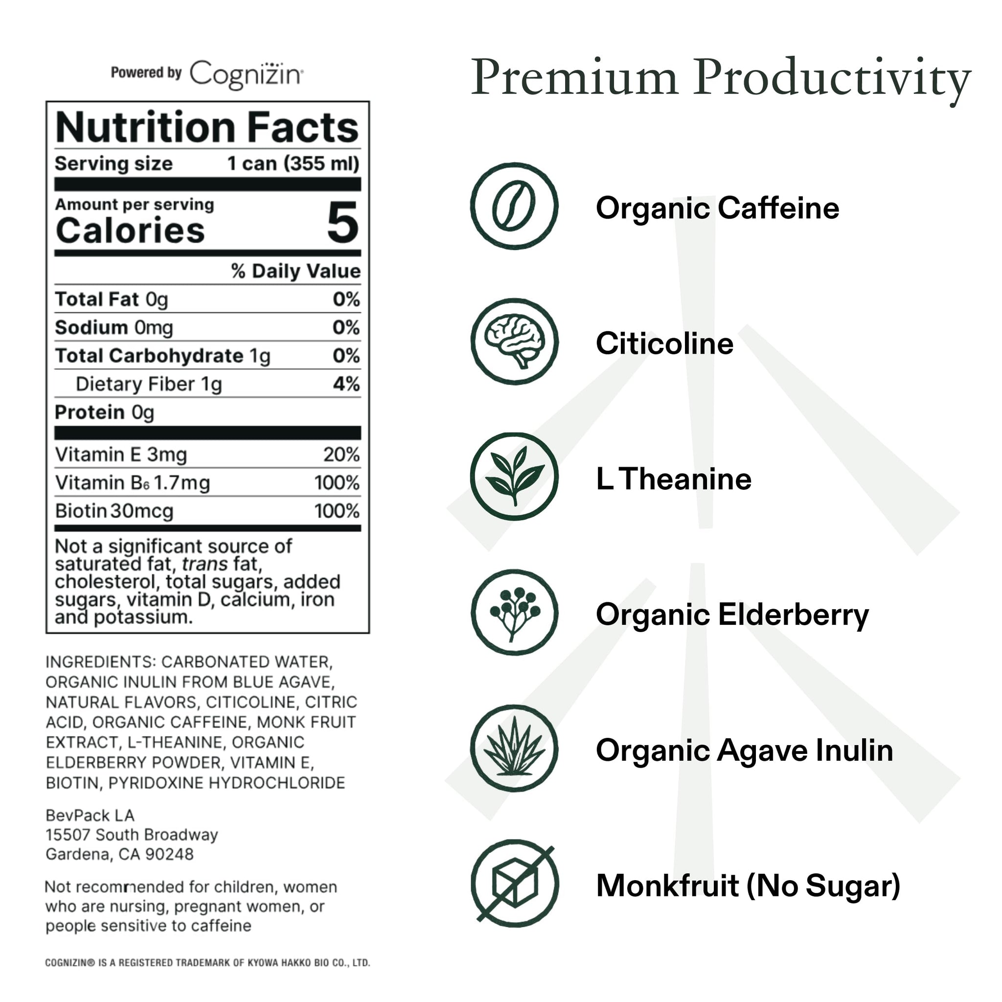 STAED Organic Energy Drinks, Clean Natural Productivity Drink with Cognizin® Citicoline & L-Theanine, Sparkling Functional Beverage, Clean Caffeine