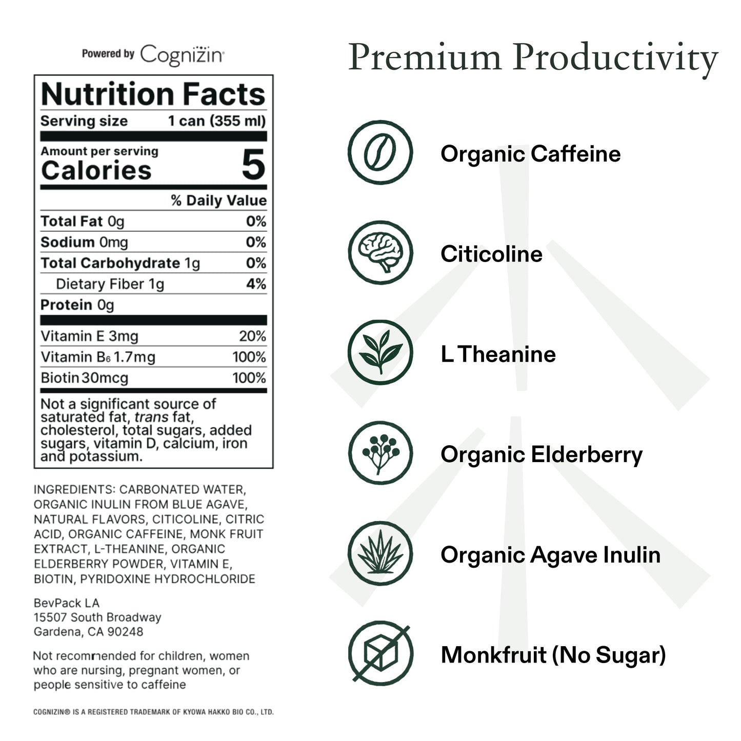 STAED Organic Energy Drinks, Clean Natural Productivity Drink with Cognizin® Citicoline & L-Theanine, Sparkling Functional Beverage, Clean Caffeine