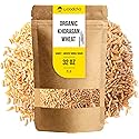 Organic Khorasan Wheat Berries (Kamut) 2LB Bulk - Ancient Whole Grain, High Protein & Fiber for Lasting Fullness, Meal Prep Friendly, Rice & Quinoa Alternative - Non-GMO Heirloom Grain, Stays Al Dente for Bowls, Salads & Baking