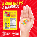 Gerrit’s Mini Mini Fruit Chicles Gum, 0.79 Ounce Pouches - 20 Count Display Box