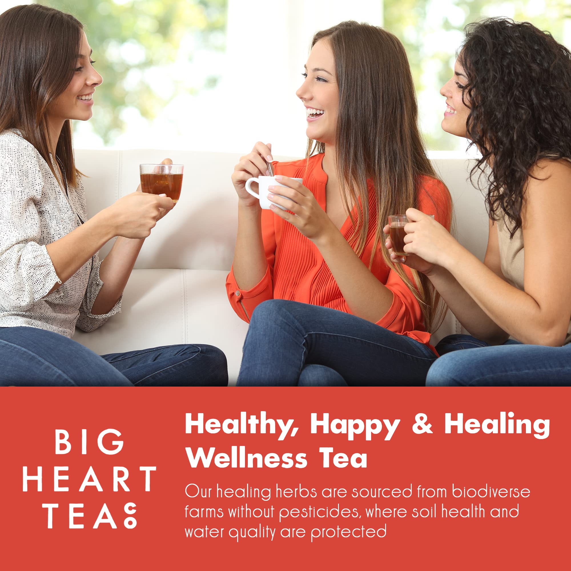 Big Heart Tea Co. Tea Bags - Fiery Masala Chai - Certified Organic, Ayurvedic Herbal Decaf Tea with Small Batch Ground Sweet Herbs and Spices