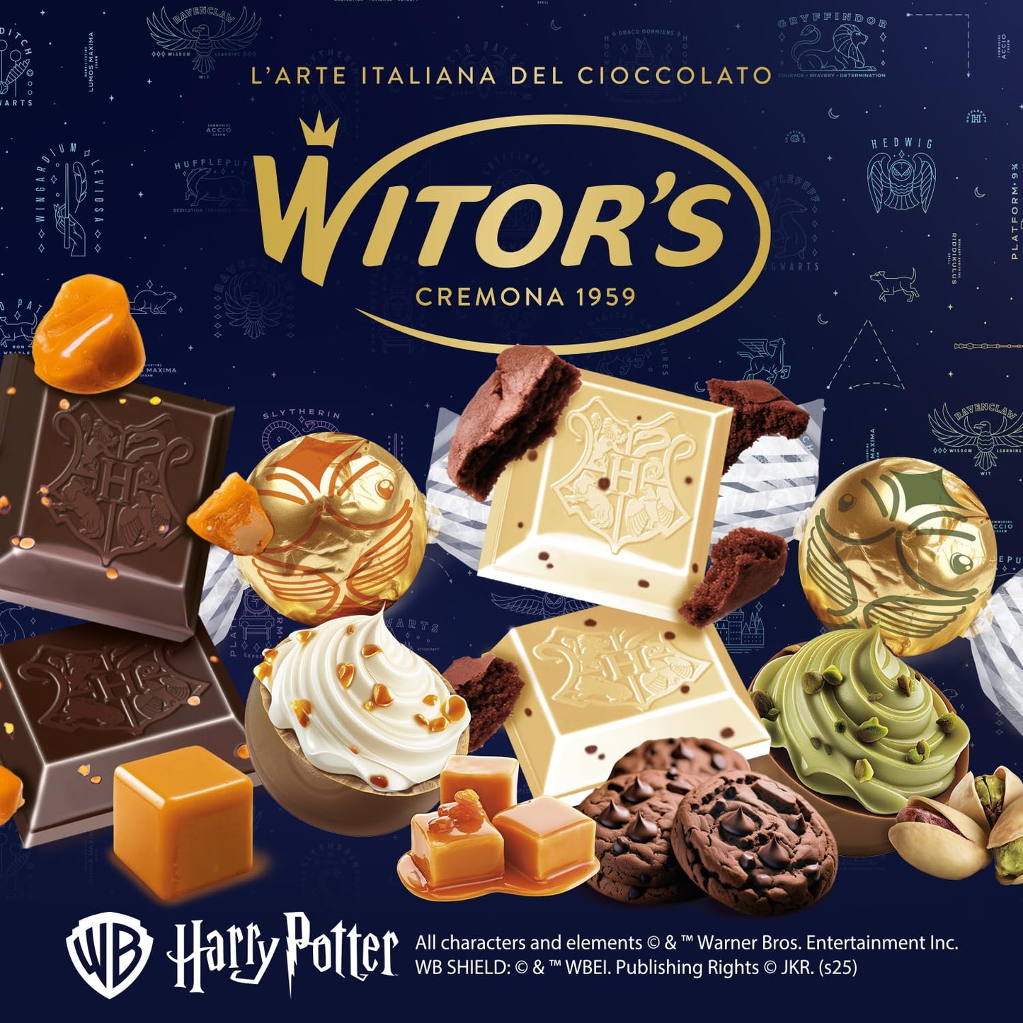 Witor's Biscuit Cookies, Crispy Chocolate-Covered Biscuits, Italian Chocolate, Individually Wrapped for Snacking, Dessert, and Lunch Boxes (Cocoa