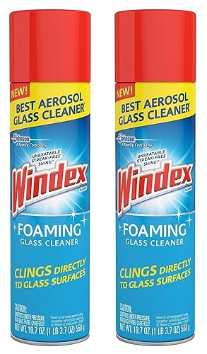 Windex Foam Clnr 19.7oz