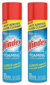 Windex Foam Clnr 19.7oz