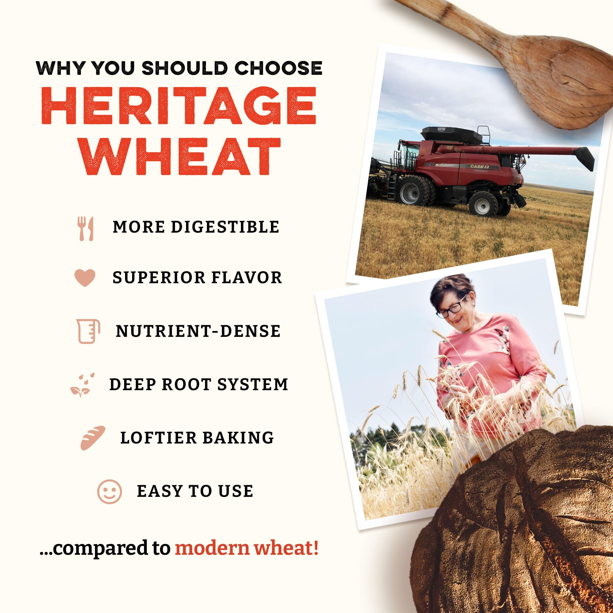 Sunrise Flour Mill Heritage Whole Wheat Bread Blend - 5 lb | USDA Organic All Purpose Flour Unbleached - Non-GMO, Kosher, Grown Without Glyphosate