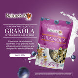 Nature's Mix - Super Food Granola with Quinoa and Blueberries - Nut-Free, Vegan and Kosher - Nutrient-Rich Superfoods - Large