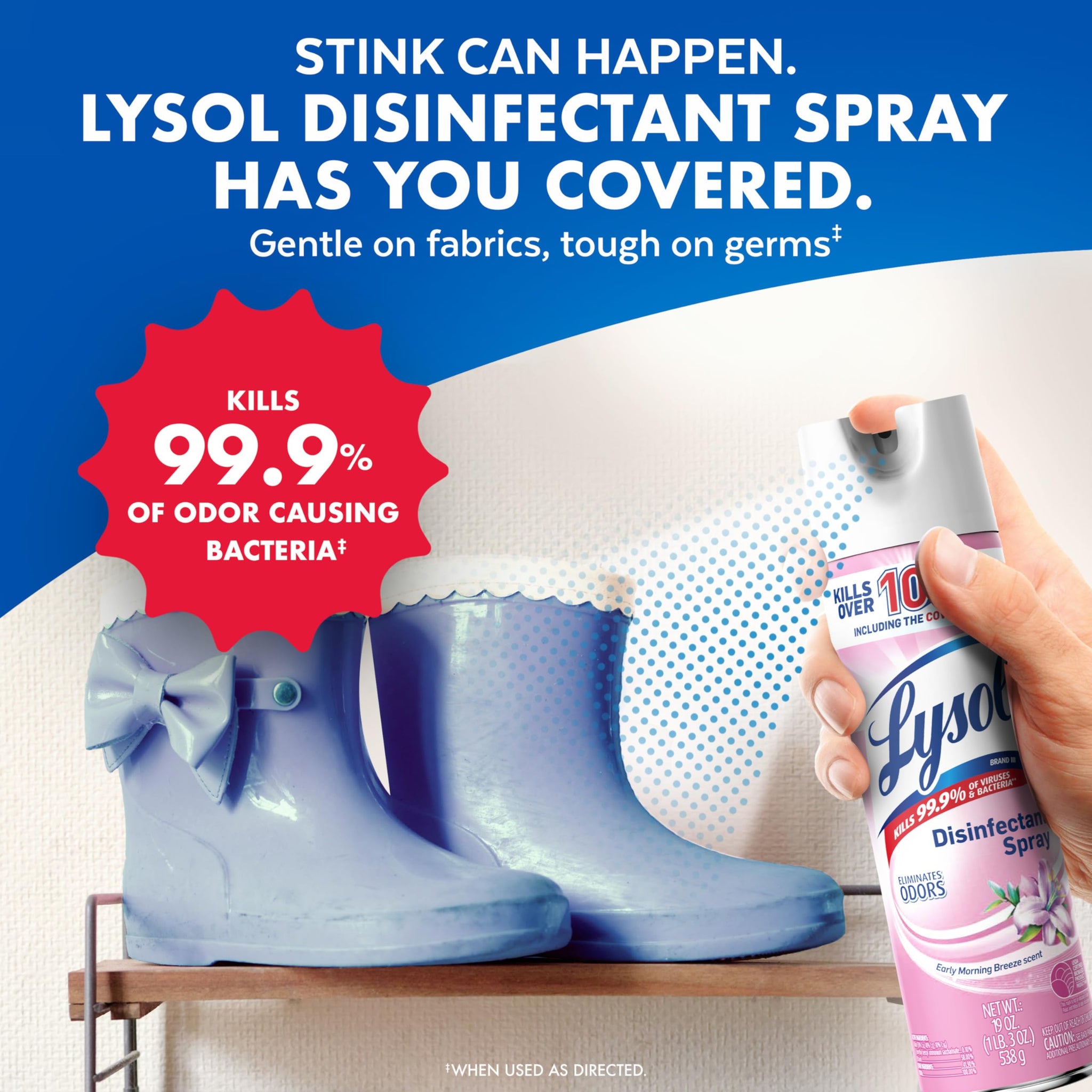 Lysol Disinfectant Spray, Household Cleaning Supplies, Disinfecting Multi-Purpose Room Spray, Antibacterial Sanitizer, Deodorizer, Kills Hantavirus
