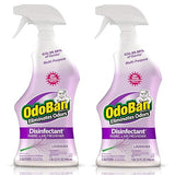 OdoBan Ready-to-Use Disinfectant and Odor Eliminator, Set of 2 Spray Bottles, 32 Ounces Each, Lavender Scent