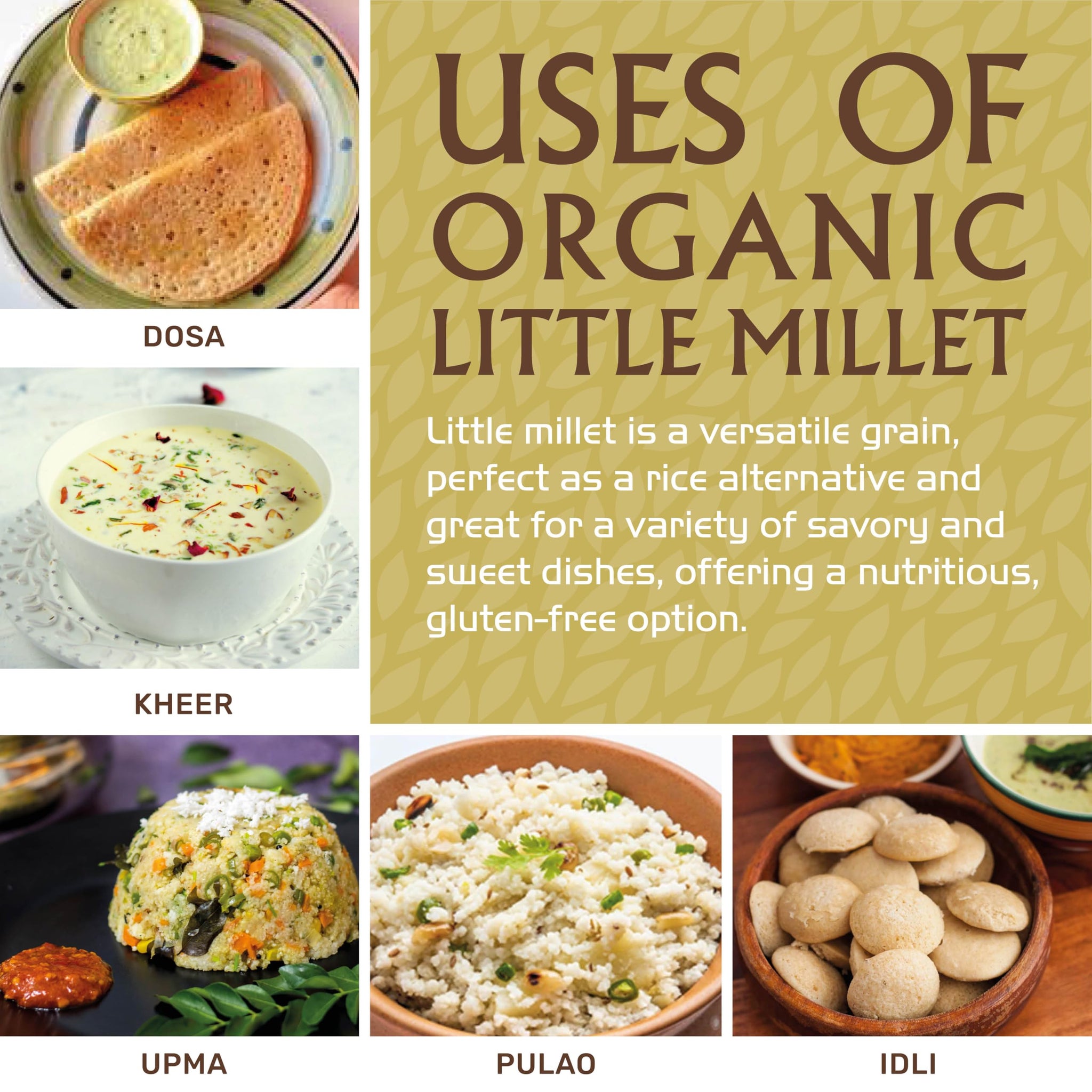 Jiva Organics Little Millet 2 LB Bag | Whole Grain, Gluten-Free & Organic | Rich in Fiber & Essential Nutrients for Healthy Cooking