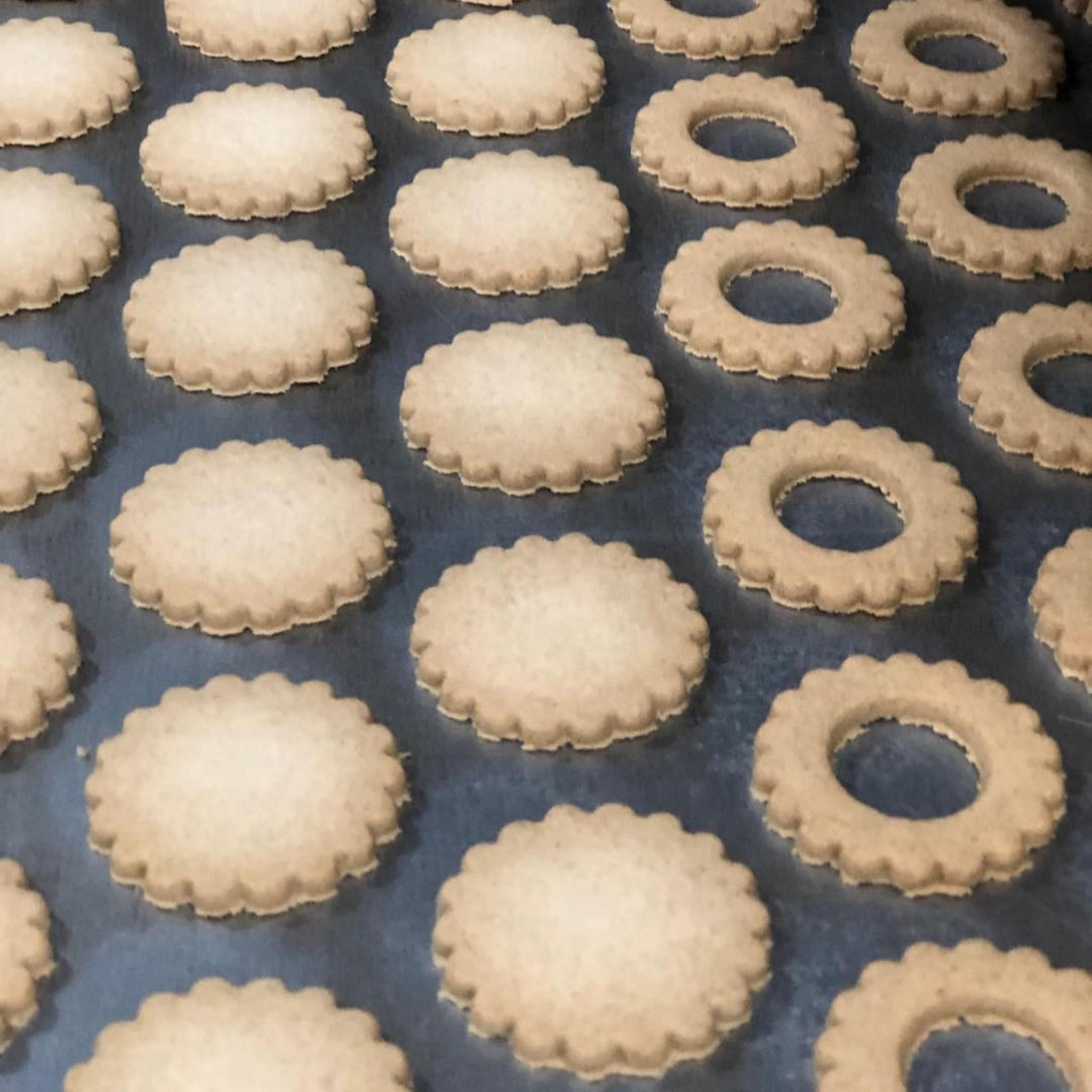 My Dad's Cookies Gluten Free Lemon Burst Cream Filled Linzer Sandwich Cookies with Powdered Sugar - Dairy-Free, Kosher, Nut-Free, Italian Style
