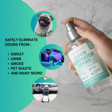 SpaRoom Odor Eliminator Spray - Home Freshener for Strong Smells, Smoke and Pet Neutralizer, Bathroom and Car Deodorizer with Plant-Based Ingredients