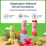 Juni Sparkling Adaptogen Drink with Ashwagandha, Lion’s Mane & Reishi Mushrooms | Green Tea for Focus, Zero Sugar, 5 Calories | Decaffeinated, Non