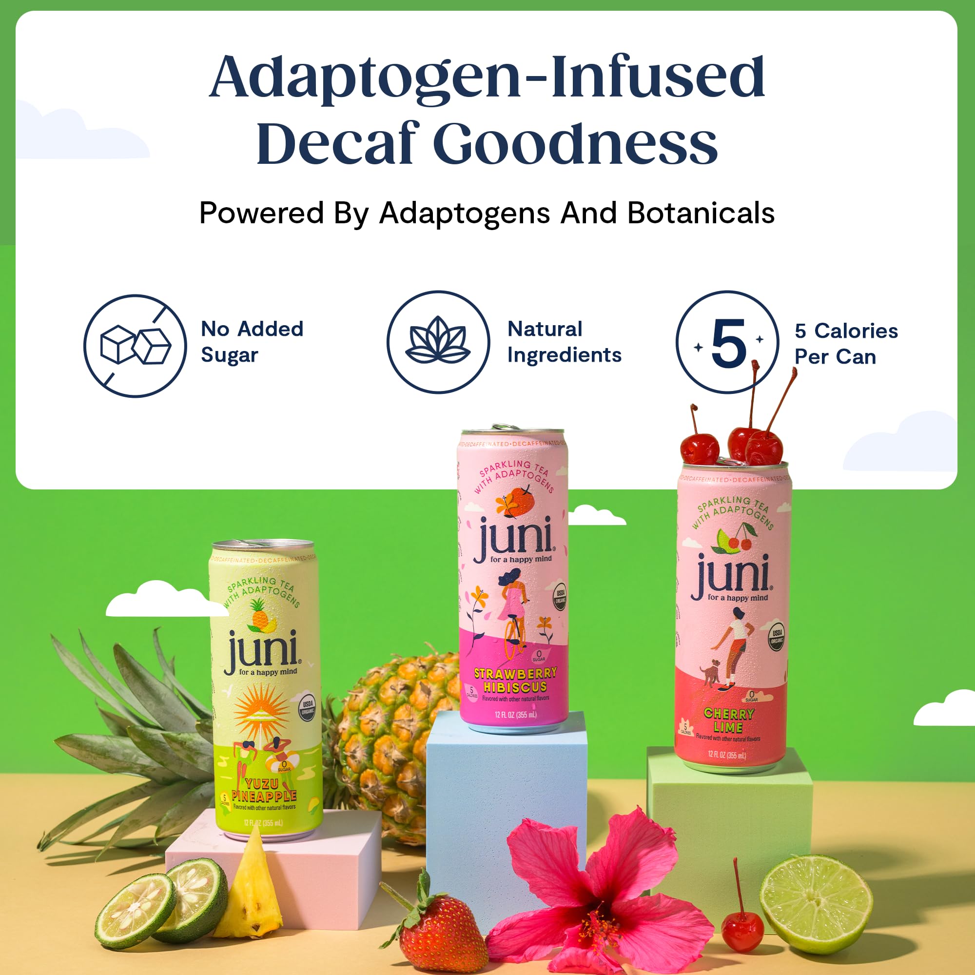 Juni Sparkling Adaptogen Drink with Ashwagandha, Lion’s Mane & Reishi Mushrooms | Green Tea for Focus, Zero Sugar, 5 Calories | Decaffeinated, Non
