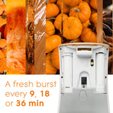 Glade Automatic Spray Refill and Holder Kit, Air Freshener for Home and Bathroom, Golden Pumpkin & Spice, 6.2 Oz