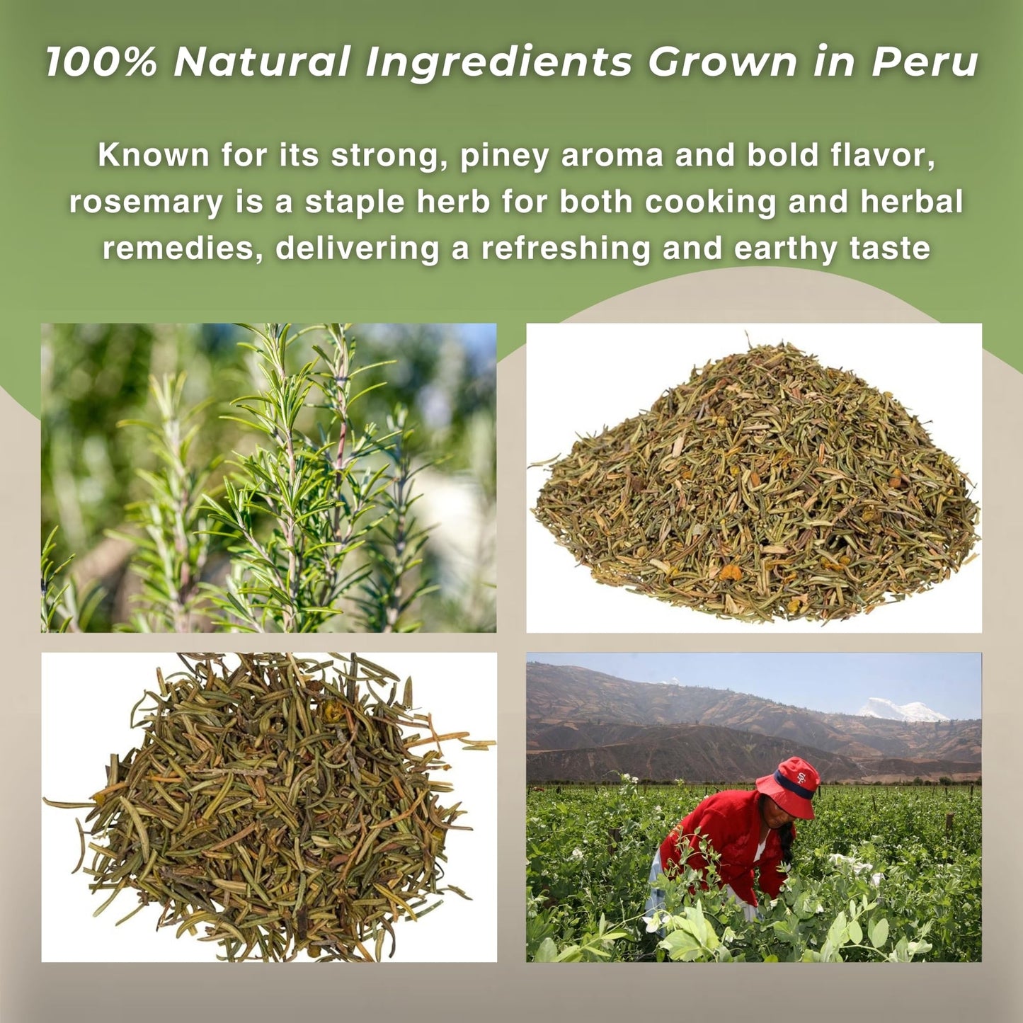 Rosemary Loose Leaf 1.4oz - Romero 40g, Dried Herbs from Peru for Herbal Tea, Cooking, Recipes, Mediterranean Cuisine - Rosmarinus officinalis Leaves