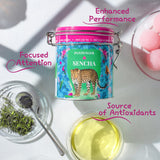 Pantenger Sencha Japanese Green Tea -20 Green Tea Bags- First Harvest | Ichiban Cha. USDA Organic Green Tea | Japanese Tea