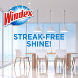 Windex Glass and Multi-Surface Cleaning Wipes, 28 Count