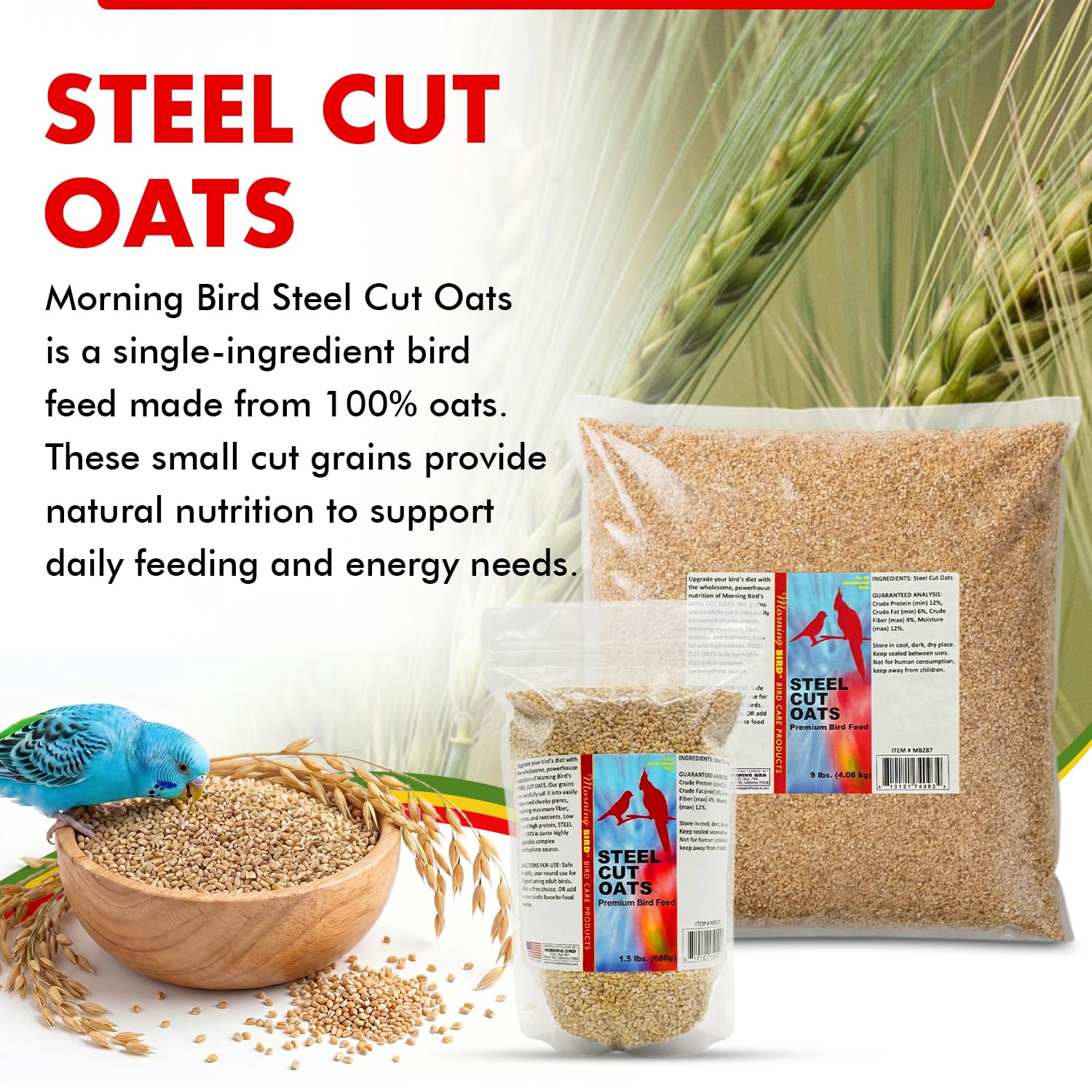 Morning Bird Steel Cut Oats 18 lbs (2-Pack, 9 lbs Each - High Protein Natural Cut Oat Grain for Birds & Easy-to-Eat Pieces - Supports Balanced