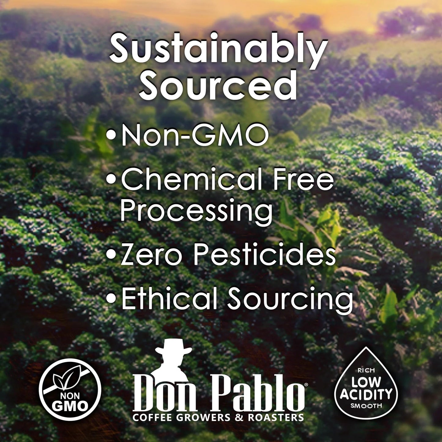 Don Pablo European Blend - Dark Roast Gourmet Coffee - 100% Arabica Whole Bean, Non-GMO, Low Acidity, 907g (2LB) Bag