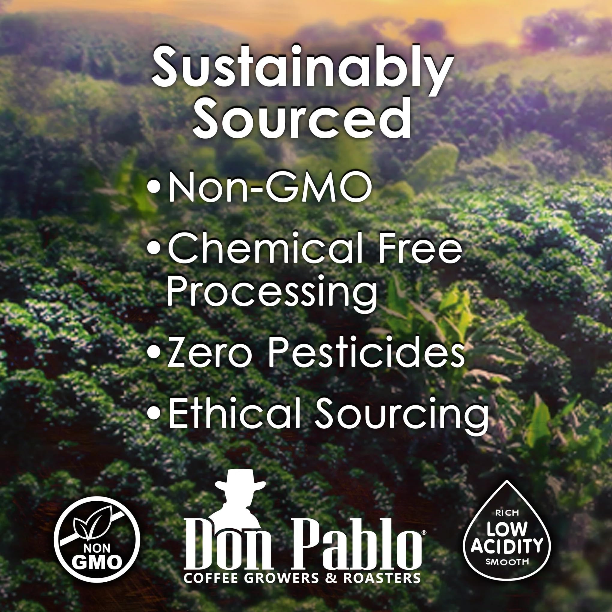 Don Pablo European Blend - Dark Roast Gourmet Coffee - 100% Arabica Whole Bean, Non-GMO, Low Acidity, 907g (2LB) Bag
