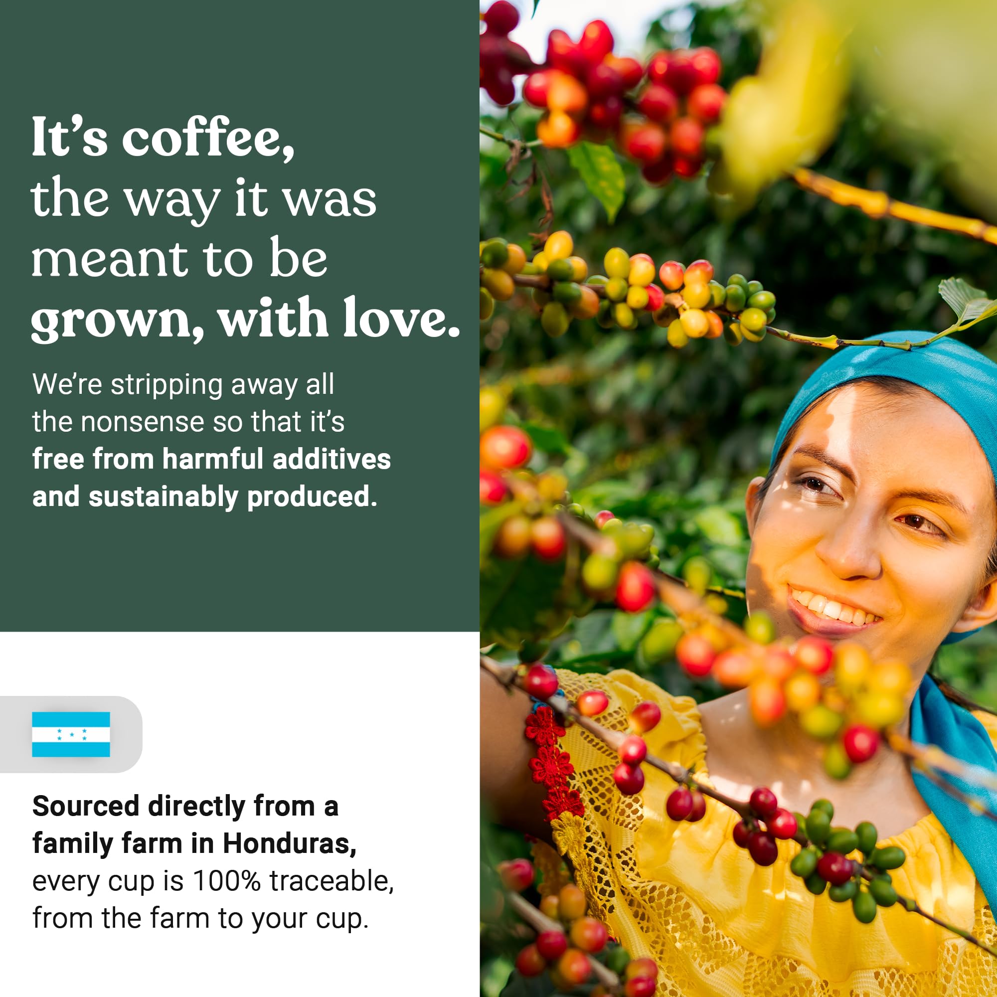 Love Grown Plastic-Free Coffee Pods, 100% Arabica Single-Serve Cups, Compostable, Non-GMO - Compatible with Keurig Coffee Pods Machines and K-Cup