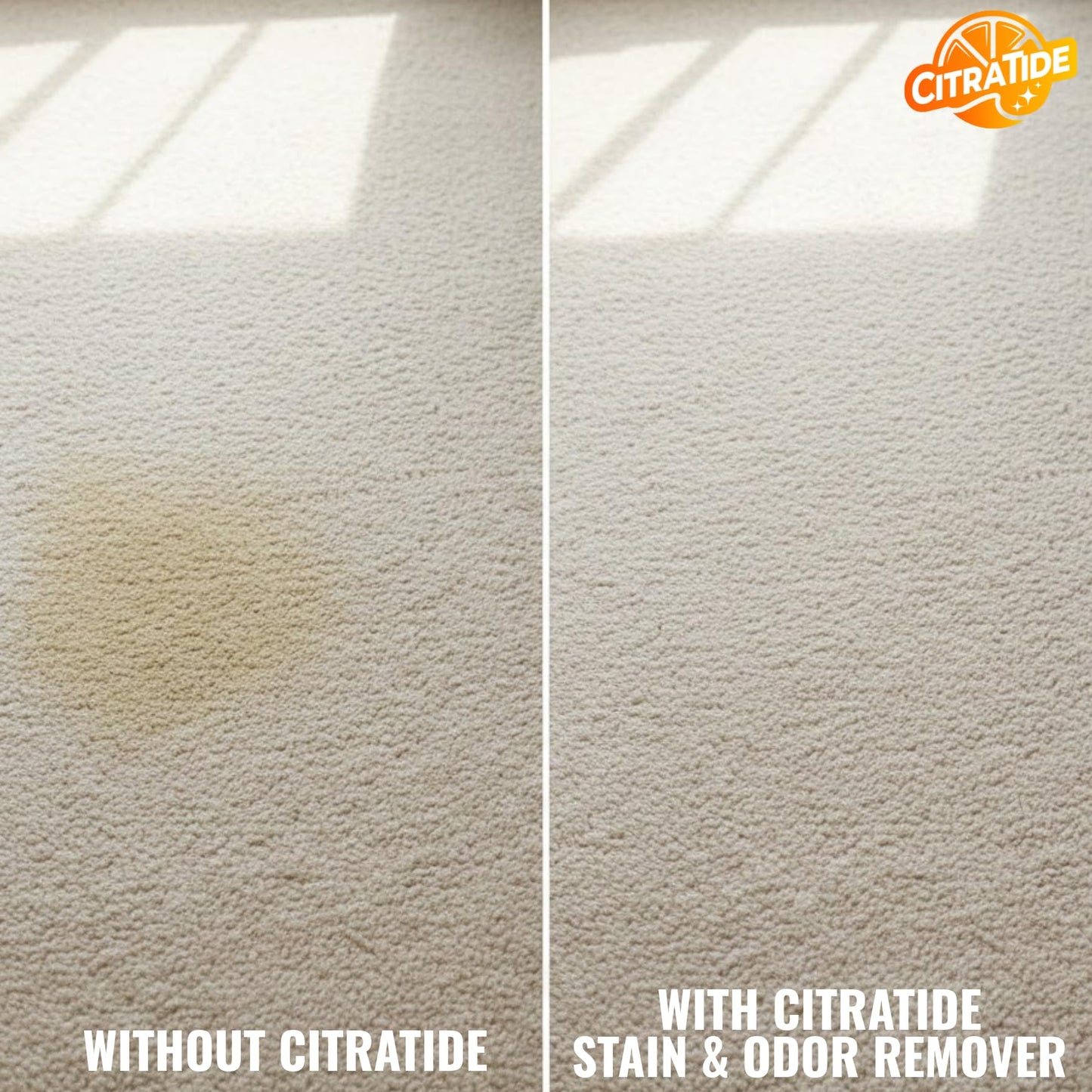 CITRATIDE Stain & Odor Remover Concentrate (16 fl oz) - Citrus Powered Enzymatic Cleaner - Plant-Based Pet Safe Formula for Carpets, Upholstery, Hard