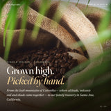 Daily Hug Colombian Coffee, 12oz - Single-Origin Andes, Air Roasted Small Batch Specialty Coffee, Notes of Milk Chocolate, Stone Fruit & Citrus