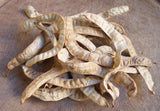 44 oz White Mesquite Bean Pulp Flour (Prosopis alba)