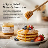 Bees & Trees New Zealand Manuka Honey - 550+ & 350+ MGO - Pure, Unpasteurized Monofloral Premium Superfood Raw Honey, Daily Wellness & Vitality