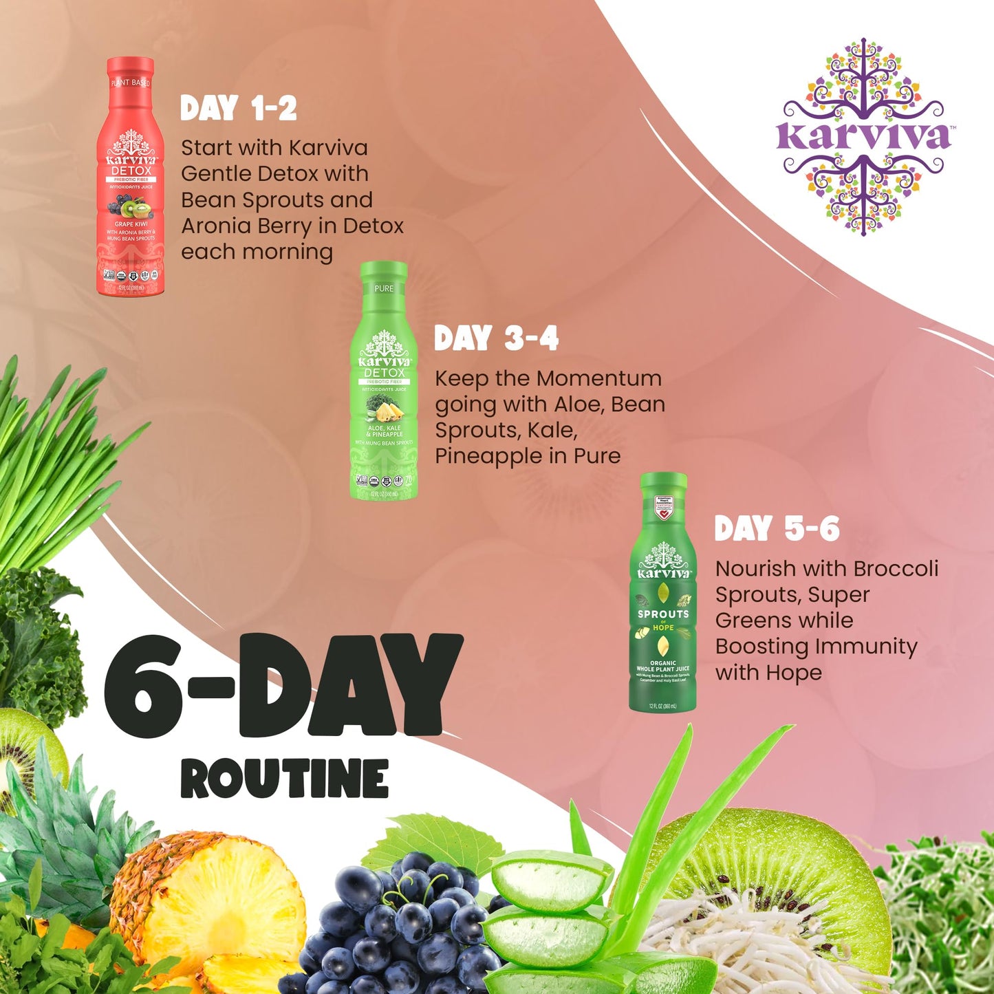 Karviva Organic Juice Cleanse for Sugar Detox & Weight Control - Ancient Eastern Remedies for Healthy Digestion & Gentle Detox with Sprouts, Aloe Vera