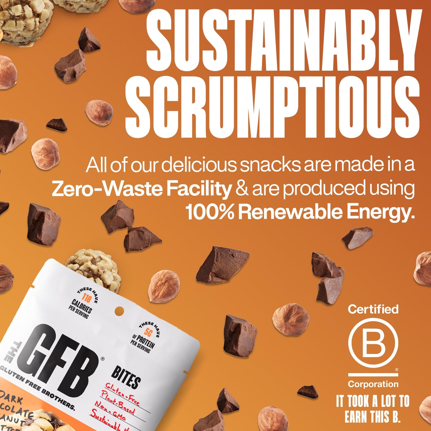 The GFB Dark Chocolate Hazelnut Protein Bites - Gluten Free, Plant Based, Non GMO, Sustainably Made - Ridiculously Tasty, Healthy, Vegan, Protein
