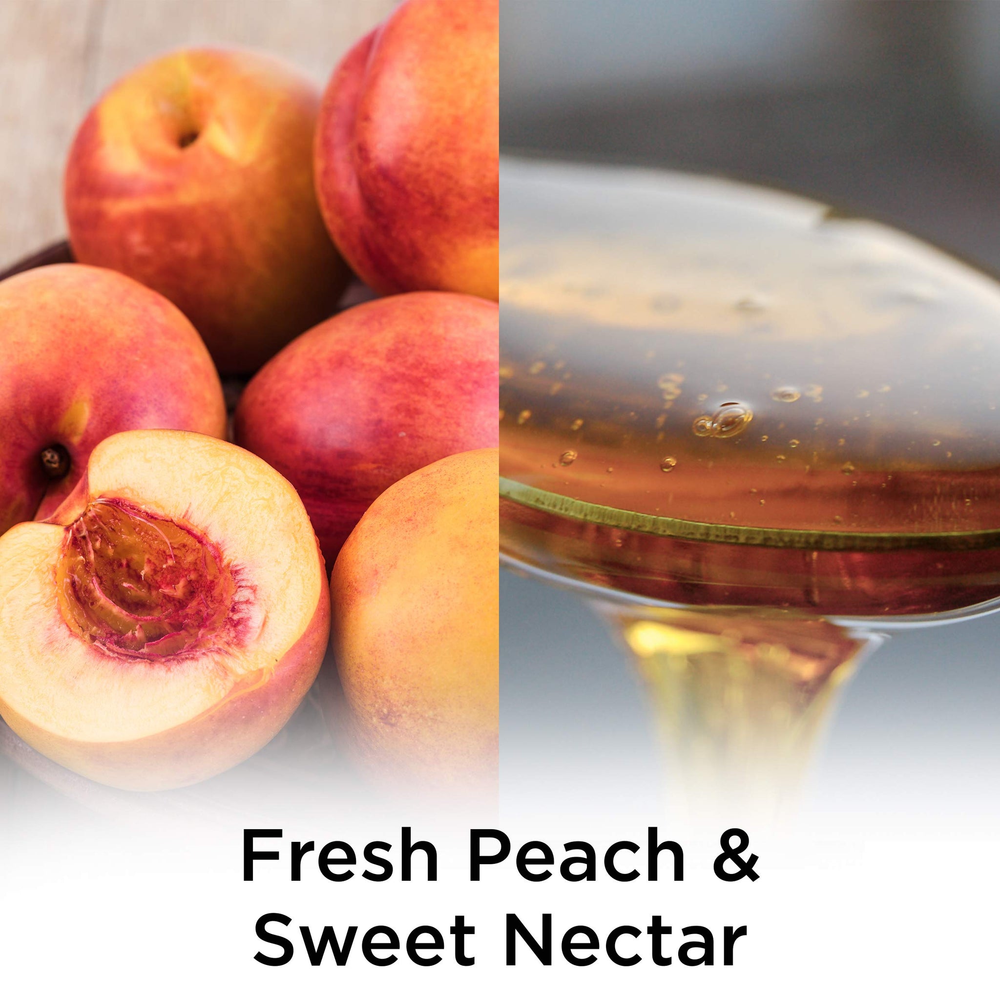 Air Wick Plug in Scented Oil Refill, 2 ct, Fresh Peach and Sweet Nectar, Air Freshener, Essential Oils, Spring Collection