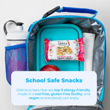Blake’s Seed Based Crispy Treats - Birthday Cake (6 Count), Nut Free, Gluten Free, Dairy Free & Vegan, Healthy Snacks for Kids or Adults, School Safe
