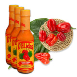 D'ELidas Habanero Hot Sauce, Natural Habanero Pepper Hot Sauce, Chombo Picante Sauce #1 in Panama, Non-GMO, Keto Friendly Food Habanero Sauce, 5 Fl Oz