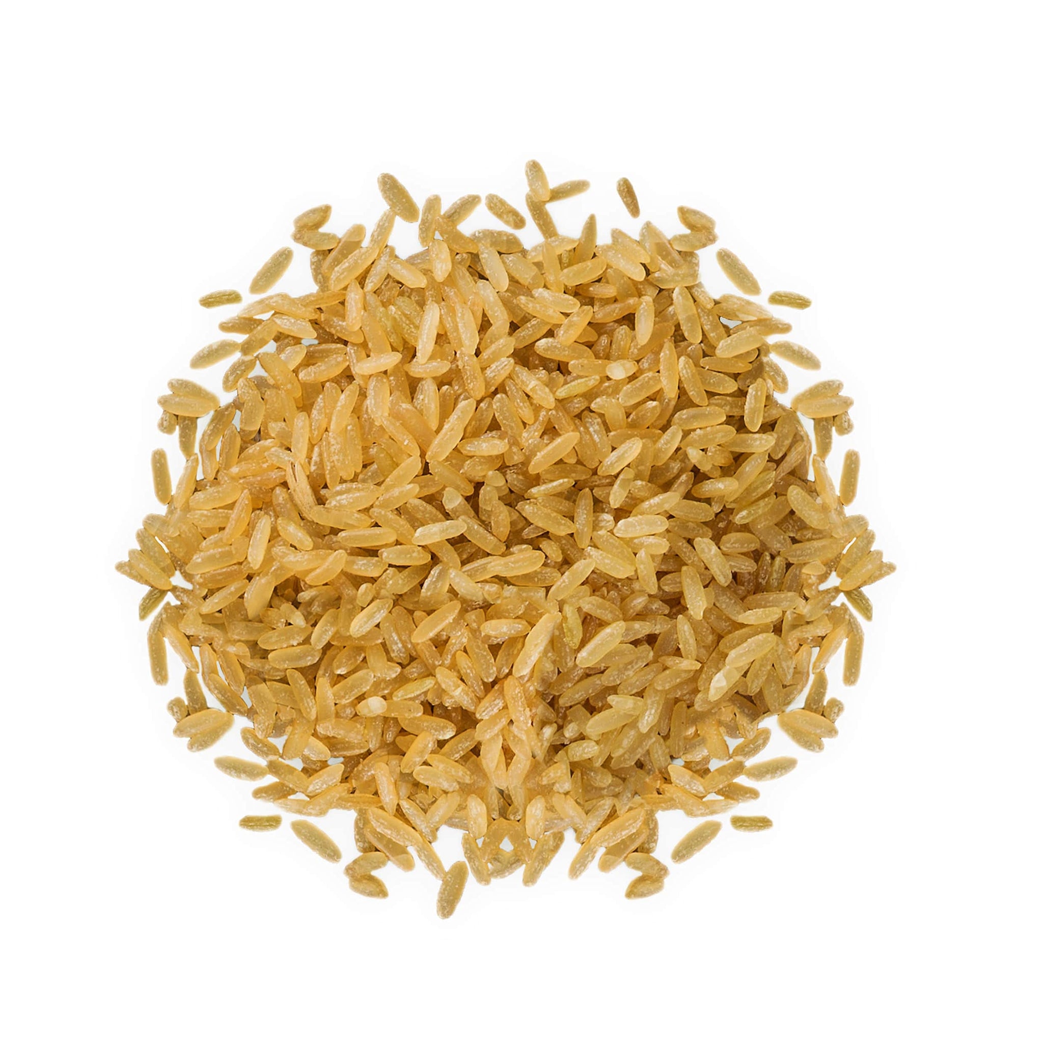 Parboiled Long Grain Brown Rice, 3 Pounds - Whole Grain, Kosher, Vegan, Bulk. Partially Precooked Converted Rice. Easy-cook Rice is Great for Making Idlis and Dosas