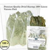 Dried soursop leaves Graviola Leaves Tea - Whole Dried Guanabana Loose Leaf, 100+ Leaves, Caffeine-Free, Vacuum-Sealed Pack