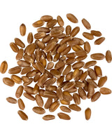 Palouse Brand Certified Glyphosate Residue Free Hard Red Winter Wheat Berries | 5 LBS | Family Farmed in Washington State | Non-GMO Project Verified | Certified Kosher Parve
