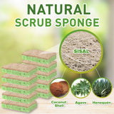 SCRUBIT Natural Sponges - 10 Pack Biodegradable Compostable Cellulose and Coconut Natural Sponges for Dishes, Eco Friendly Non Toxic Kitchen Sponge
