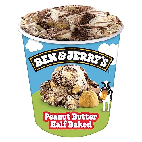 Ben & Jerry's Peanut Butter Half Baked Chocolate & Peanut Butter Ice Cream Pint Non-GMO 16 oz